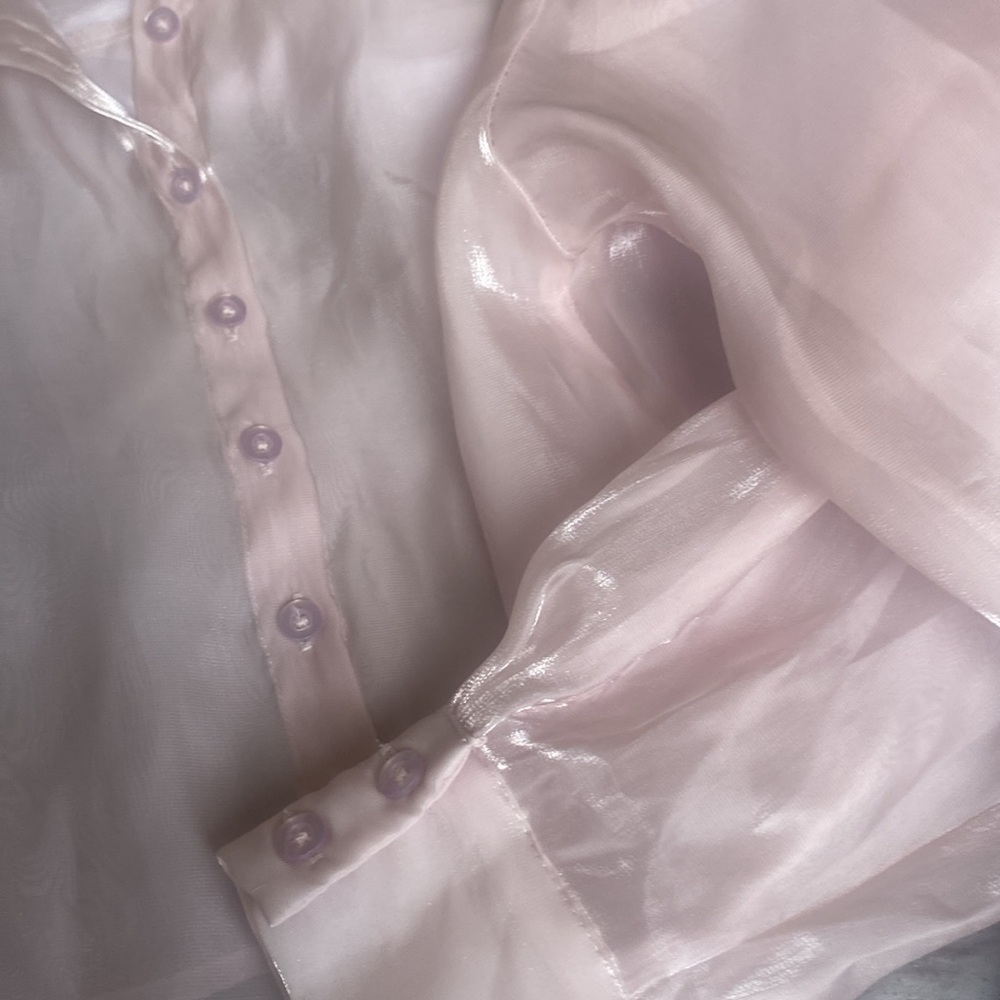 Elegant Sheer Soft Pink Button-Down Cropped Blouse